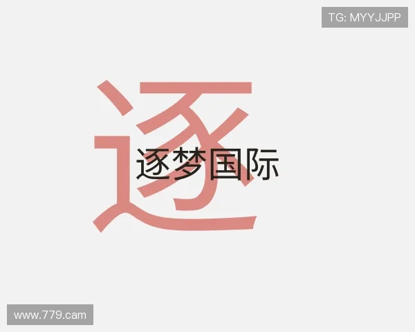 概述逐梦国际
